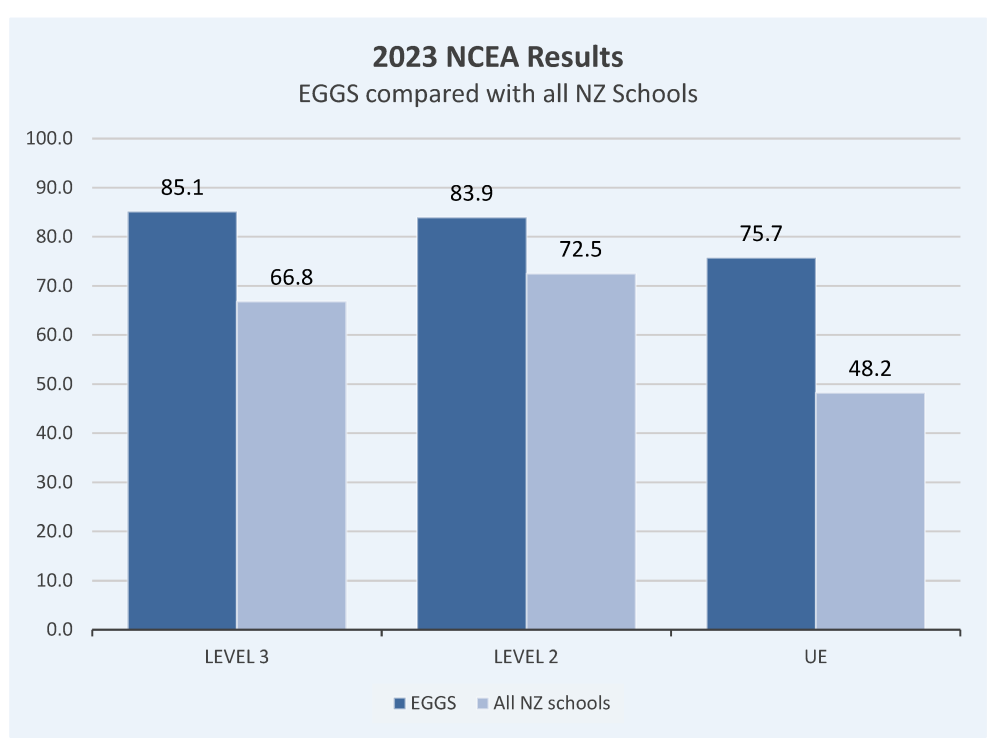 NCEA graph for website 2024